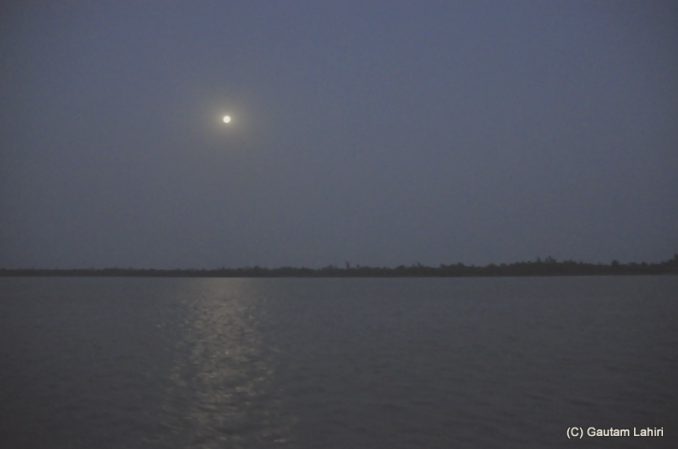 Sunderbans, nature’s most creative and deadliest swamp