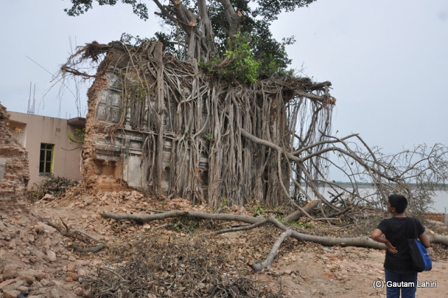 A gripping peepal tree speared an old building, which belonged to the old zamindar family of Taki stood beside Ichamati bidding goodbye to the new generation at Taki, West Bengal, India by Gautam Lahiri