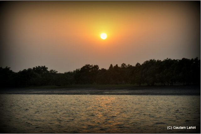 On the western end, the sun bids good bye and the forest edge gets darker as we float mid stream, unaware of the perils that lurk under the hull of the house boat  at Sunderbans National Park, West Bengal, India by Gautam Lahiri